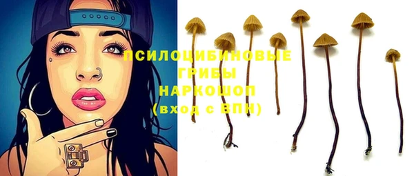 амф Заволжск