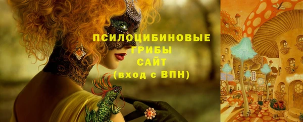 эйфоретик Зеленодольск