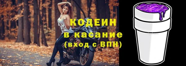 гашик Корсаков